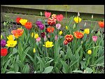 Sun 25 Apr 2010 12:38:22 D3S_2748.JPG 