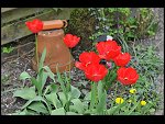 Sun 25 Apr 2010 12:38:28 D3S_2749.JPG 