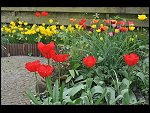 Sun 25 Apr 2010 12:38:56 D3S_2751.JPG 