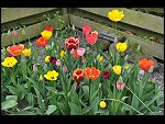 Sun 25 Apr 2010 12:39:40 D3S_2752.JPG 
