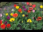 Sun 25 Apr 2010 12:39:48 D3S_2753.JPG 