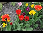 Sun 25 Apr 2010 12:39:52 D3S_2754.JPG 
