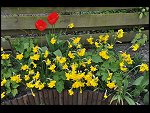 Sun 25 Apr 2010 12:39:56 D3S_2755.JPG 