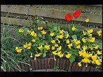 Sun 25 Apr 2010 12:39:58 D3S_2756.JPG 