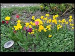Sun 25 Apr 2010 12:40:02 D3S_2757.JPG 