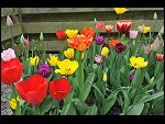 Sun 25 Apr 2010 12:40:28 D3S_2759.JPG 