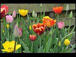 Sun 25 Apr 2010 12:40:32 D3S_2760.JPG 