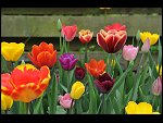 Sun 25 Apr 2010 12:40:36 D3S_2761.JPG 
