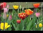 Sun 25 Apr 2010 12:40:46 D3S_2763.JPG 