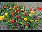 Sun 25 Apr 2010 12:41:02 D3S_2764.JPG 