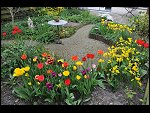 Sun 25 Apr 2010 12:41:16 D3S_2765.JPG 