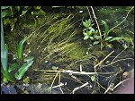 Sun 25 Apr 2010 12:52:06 D3S_2767.JPG 