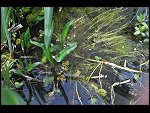 Sun 25 Apr 2010 12:52:16 D3S_2768.JPG 
