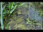 Sun 25 Apr 2010 12:52:24 D3S_2769.JPG 