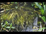 Sun 25 Apr 2010 12:54:08 D3S_2772.JPG 