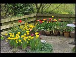 Sun 25 Apr 2010 12:54:32 D3S_2773.JPG 