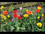 Sun 25 Apr 2010 12:54:56 D3S_2775.JPG 