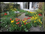 Sun 25 Apr 2010 12:55:32 D3S_2776.JPG 