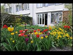 Sun 25 Apr 2010 12:55:46 D3S_2777.JPG 