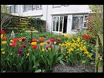 Sun 25 Apr 2010 12:56:16 D3S_2779.JPG 