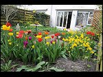 Sun 25 Apr 2010 12:56:34 D3S_2780.JPG 