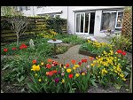 Sun 25 Apr 2010 12:56:56 D3S_2781.JPG 