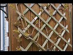 Sun 25 Apr 2010 12:57:52 D3S_2783.JPG 