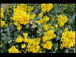 Sun 25 Apr 2010 12:58:12 D3S_2785.JPG 