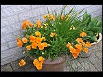 Sun 25 Apr 2010 13:02:18 D3S_2789.JPG 