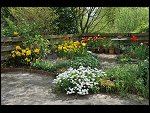 Mon 26 Apr 2010 11:15:02 D3S_2791.JPG 