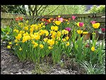 Mon 26 Apr 2010 11:15:34 D3S_2794.JPG 