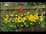 Mon 26 Apr 2010 11:16:02 D3S_2797.JPG 