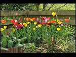 Mon 26 Apr 2010 11:16:06 D3S_2798.JPG 