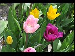 Mon 26 Apr 2010 11:18:12 D3S_2813.JPG 