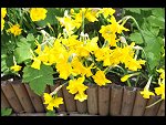 Mon 26 Apr 2010 11:18:22 D3S_2816.JPG 