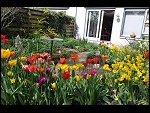 Mon 26 Apr 2010 11:19:32 D3S_2823.JPG 