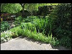 Mon 10 May 2010 13:44:32 D3S_2837.JPG 