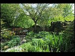 Mon 10 May 2010 13:44:48 D3S_2839.JPG 