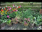 Mon 10 May 2010 13:45:34 D3S_2843.JPG 