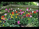 Mon 10 May 2010 13:45:38 D3S_2844.JPG 