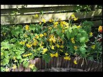 Mon 10 May 2010 13:45:42 D3S_2845.JPG 