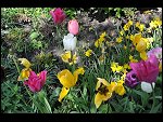 Mon 10 May 2010 13:45:48 D3S_2846.JPG 