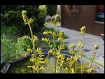 Sun 16 May 2010 16:03:44 D3S_2874.JPG 