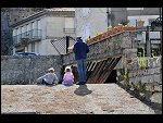Tue 19 Jul 2011 17:26:02 D3S_6514.JPG 