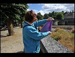 Tue 19 Jul 2011 17:32:12 D3S_6532.JPG 