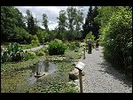 Thu 21 Jul 2011 13:16:26 D3S_6648.JPG 