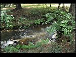Thu 21 Jul 2011 13:25:16 D3S_6676.JPG 