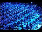 Sat 20 Oct 2012 13:42:04 D3S_0465.JPG 
