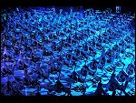 Sat 20 Oct 2012 13:45:26 D3S_0479.JPG 