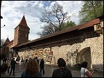 Sun 17 Apr 2016 16:31:51 IPH00196.JPG 